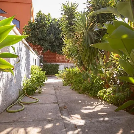 Sunseason - Sferracavallo Penthouse *